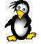 pingouins enragés 344730