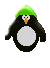 pingouins enragés 494394