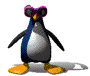 pingouins enragés 716907